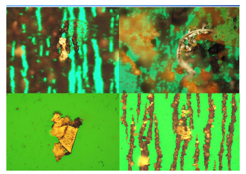 鐵譜顯微鏡下的鐵譜檢測圖